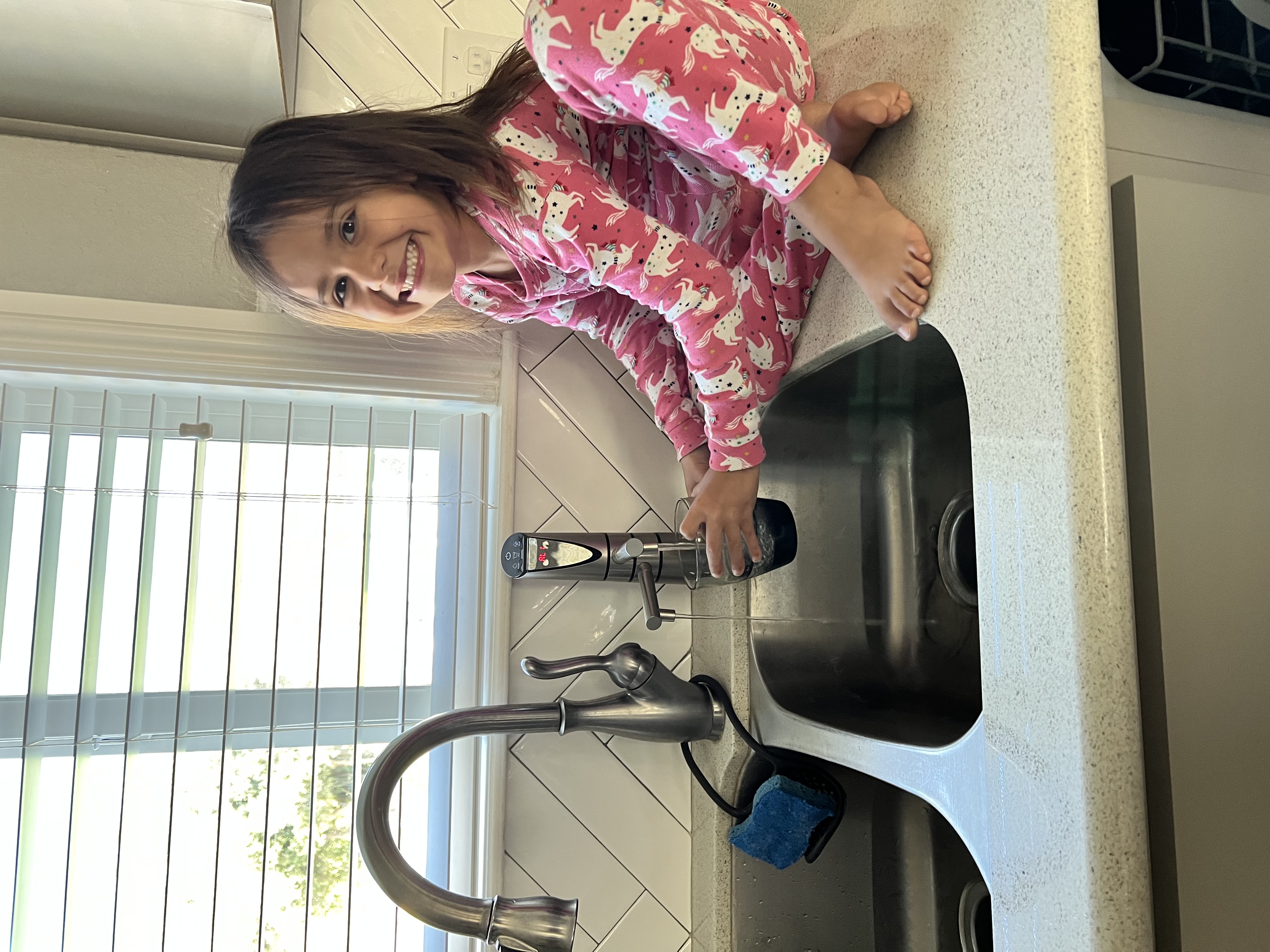 Delphi H2 Undersink Water Ionizer