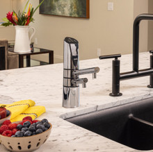 Delphi H2 Water Ionizer - T